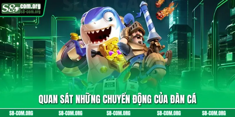 Quan sát những chuyển động của đàn cá