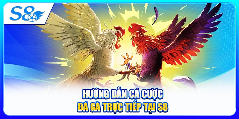 Hướng Dẫn Cá Cược Đá Gà Trực Tiếp Tại S8