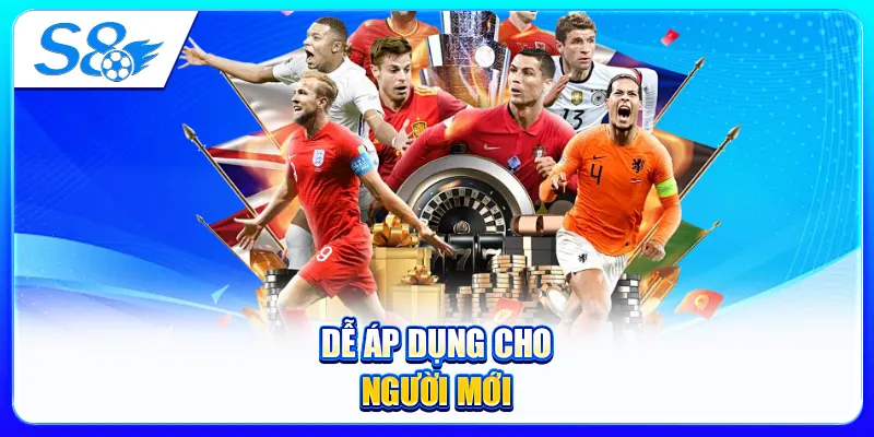 Dễ Áp Dụng Cho Người Mới